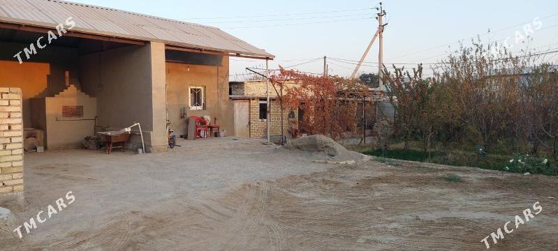 daca - Мары - img 1