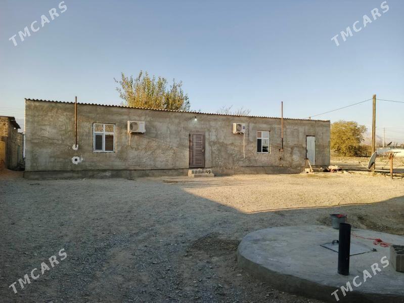 Satlyk jay - Бахарден - img 1