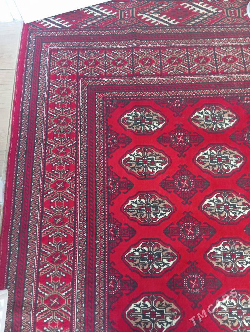 Haly - Туркменбаши - img 1