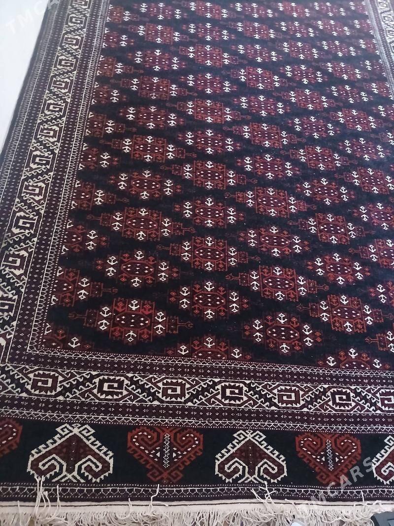 Haly - Esenguly - img 1