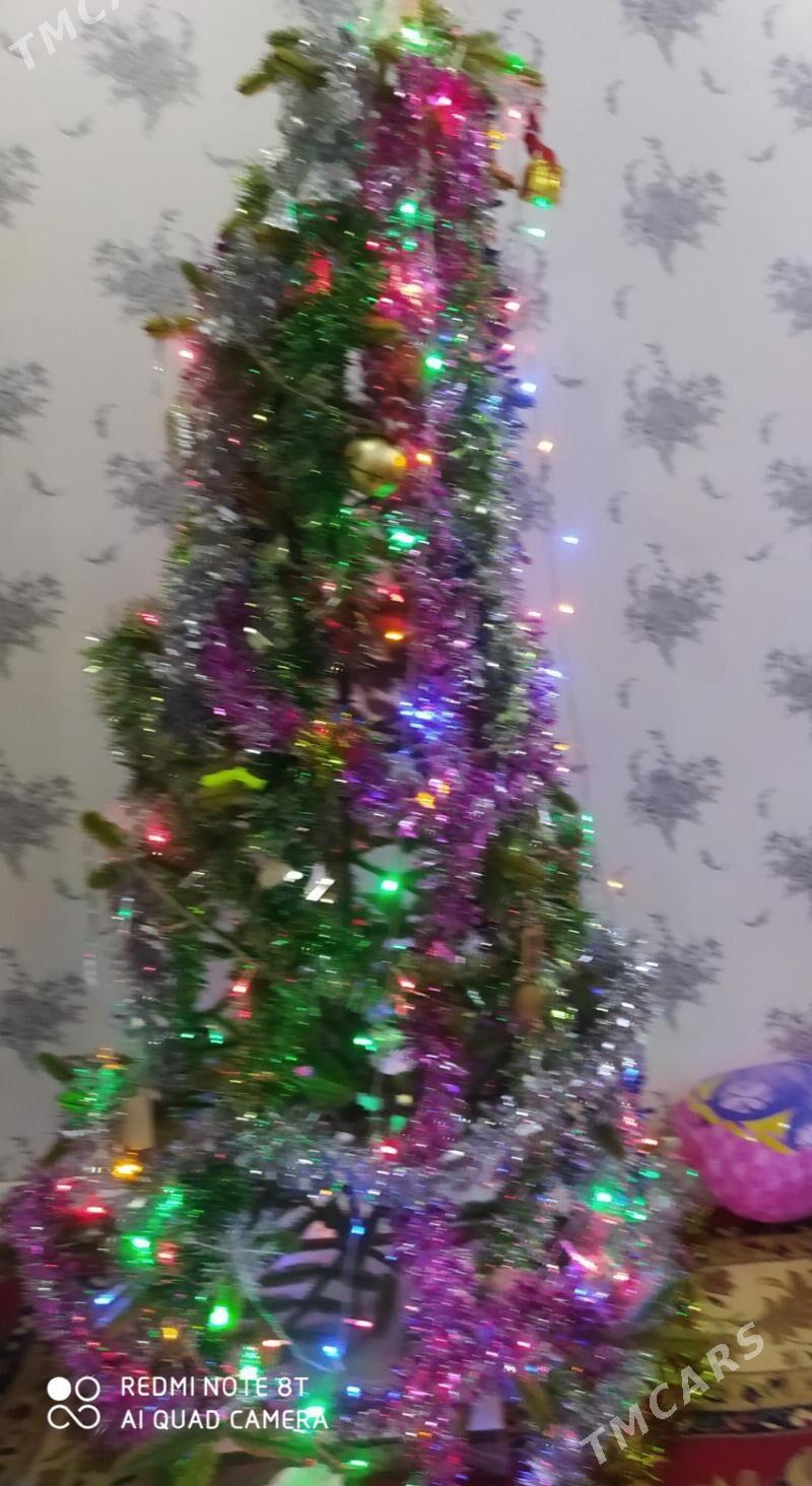 yolka - Daşoguz - img 1