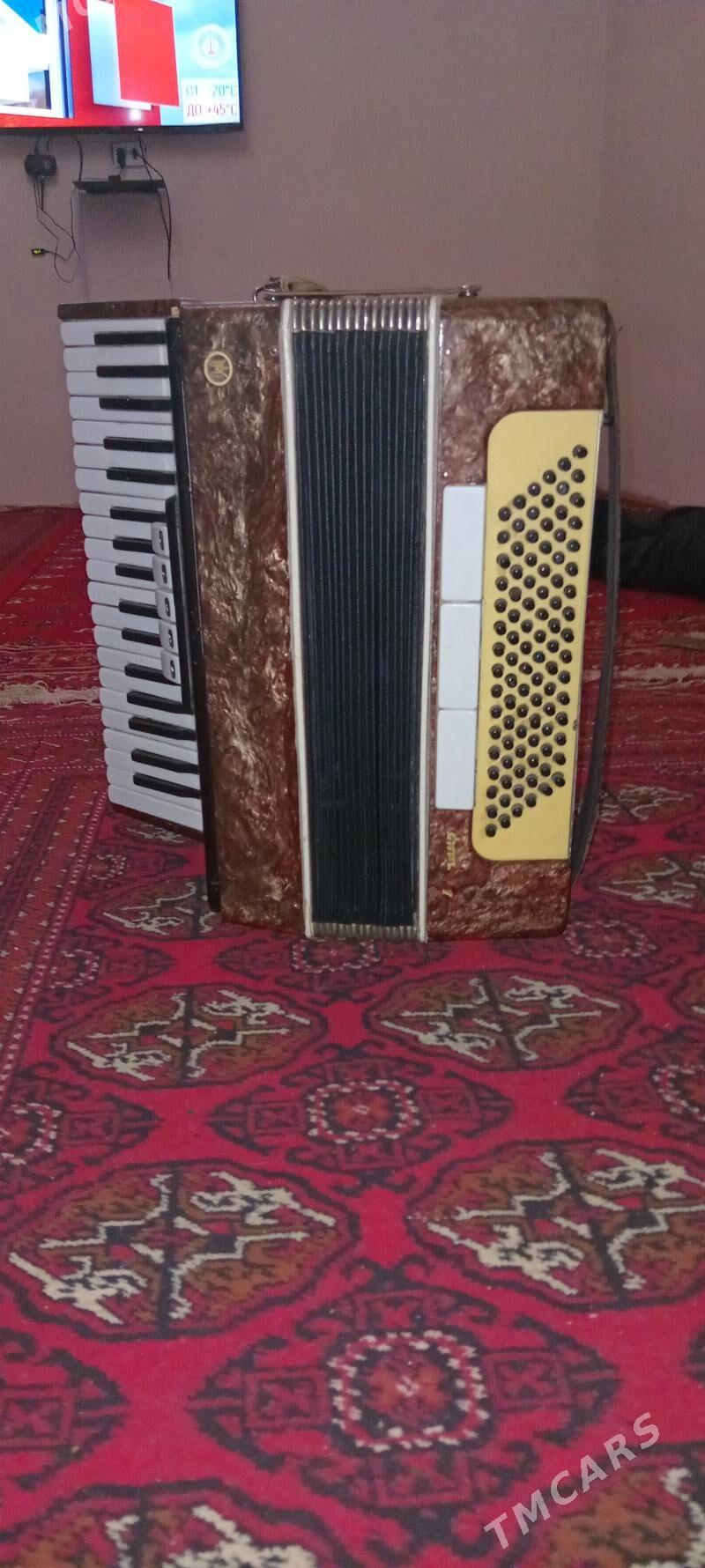 akkordeon IMI - Саят - img 1