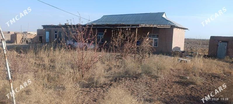 satlik jay - Огуз хан - img 1