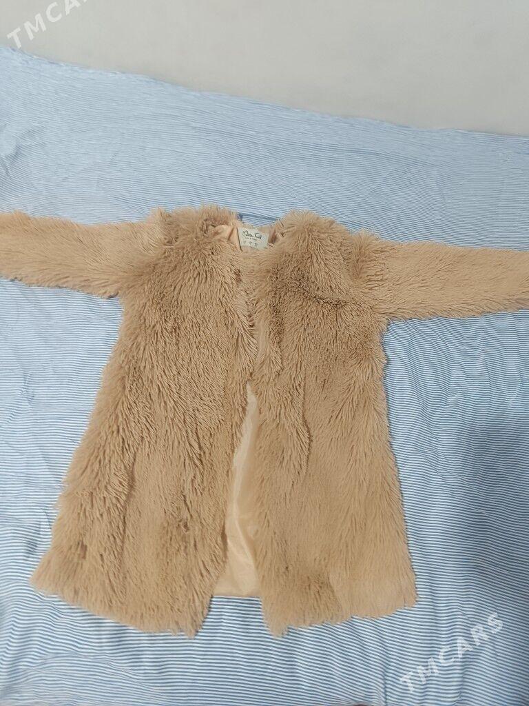 şuba - Daşoguz - img 1