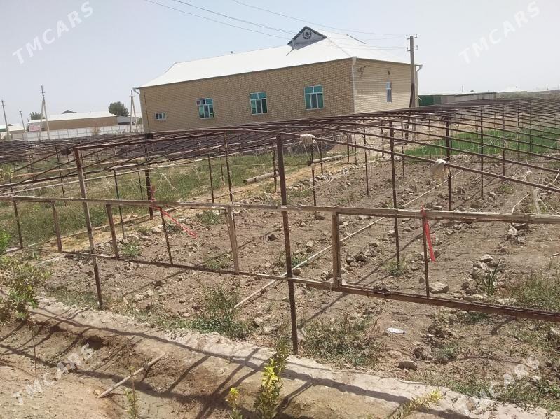 Parnik teplissa - Murgap - img 1