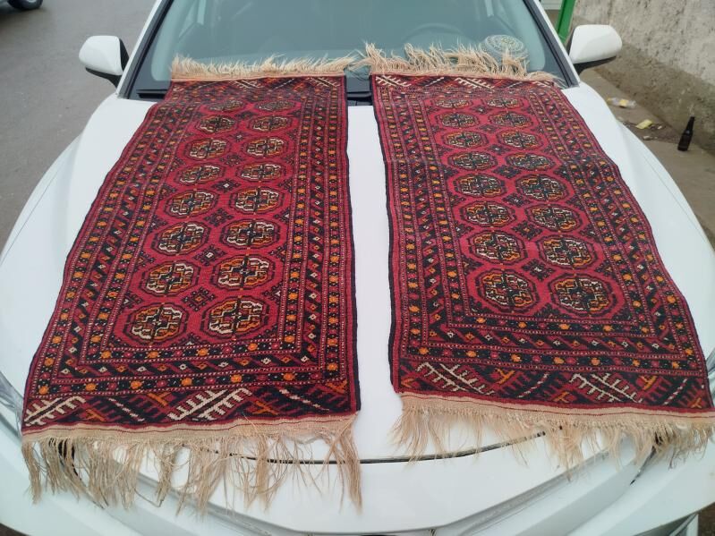 el haly arginal 250 TMT - Änew - img 1