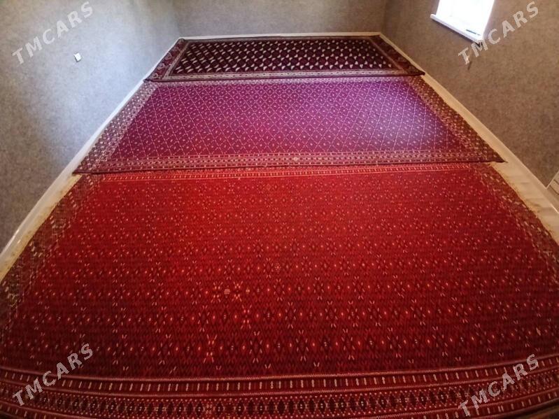 haly - Gumdag - img 1