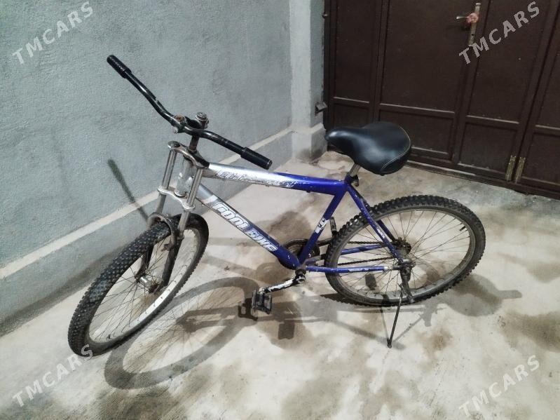 welosiped - Şabat etr. - img 1