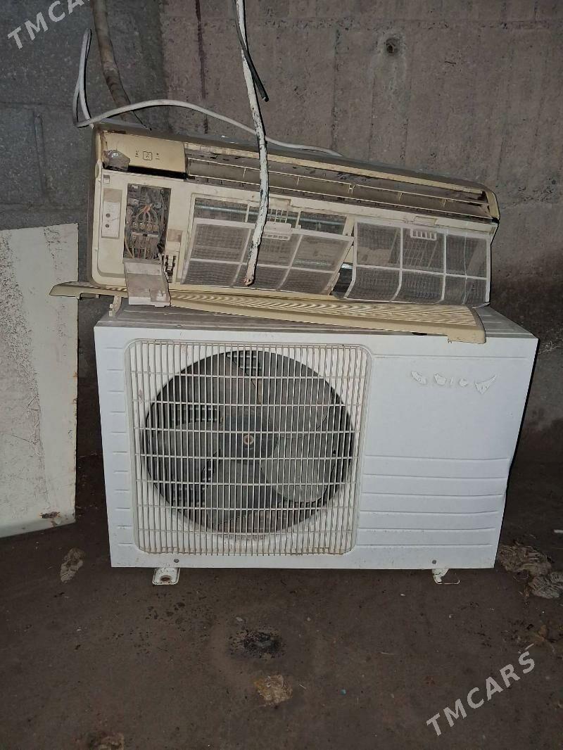 Kaniner - Gökdepe - img 1