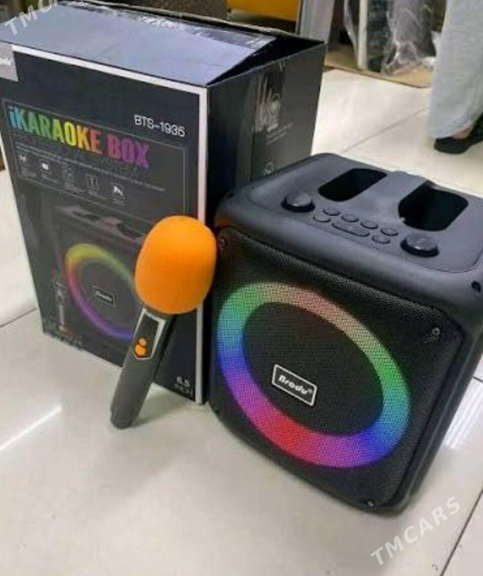 mikrafon kalonka - Änew - img 1