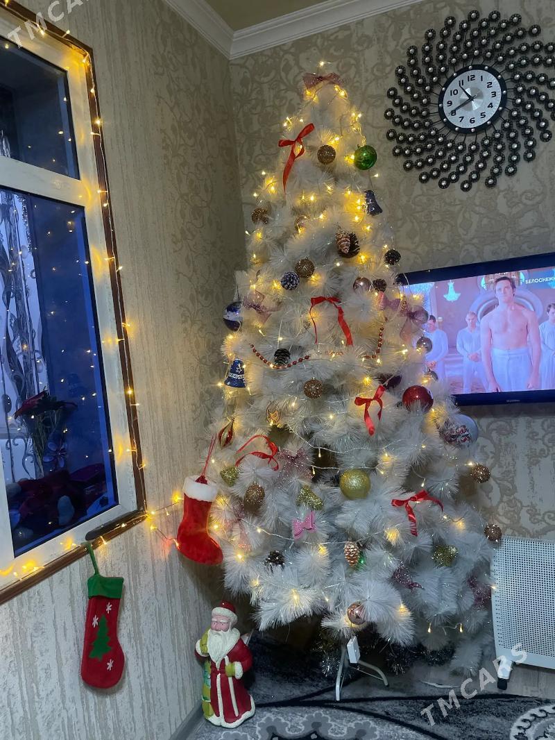 Yolka - Досааф - img 1