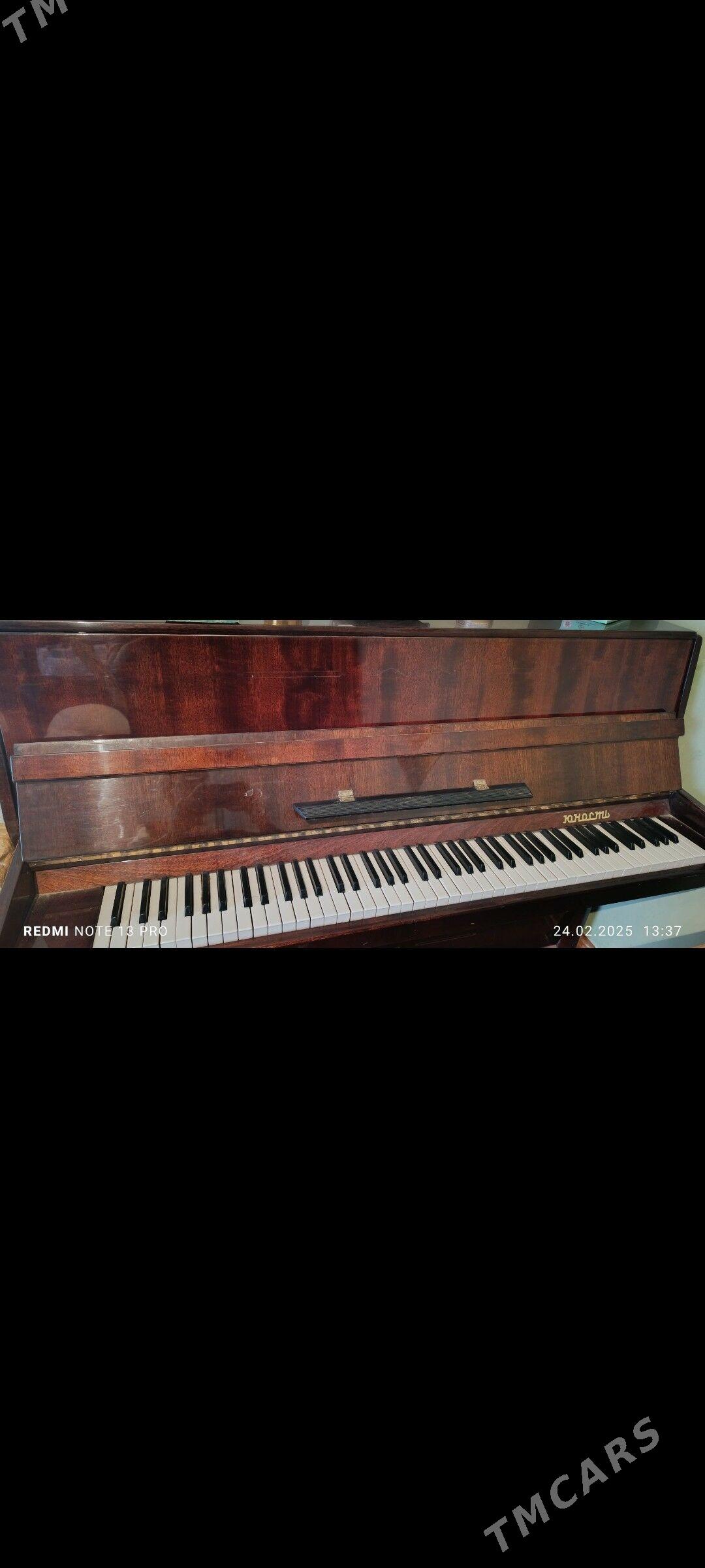 Пианино Юность - Kerki - img 1