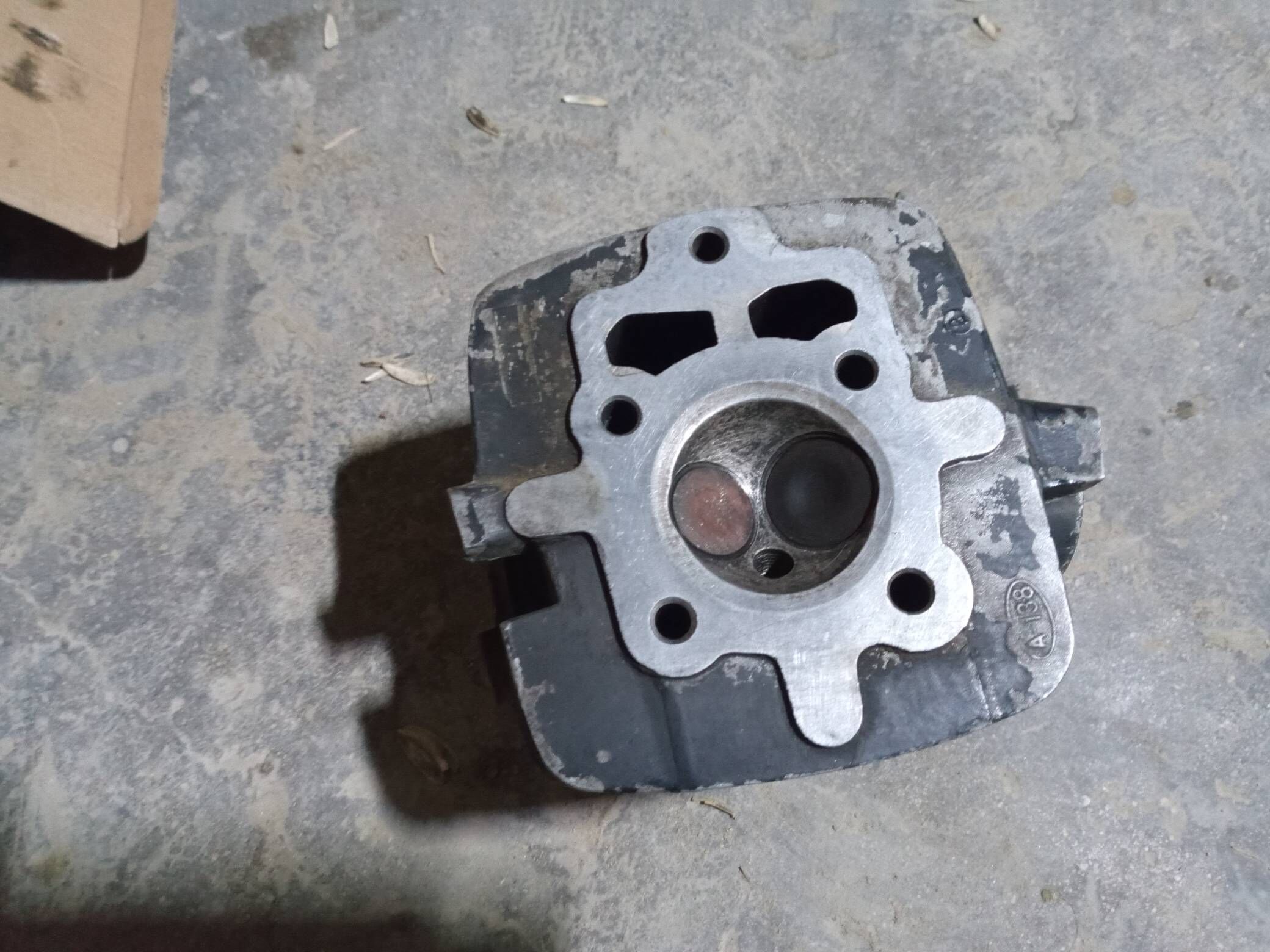 Galofga 180 TMT - Gumdag - img 1