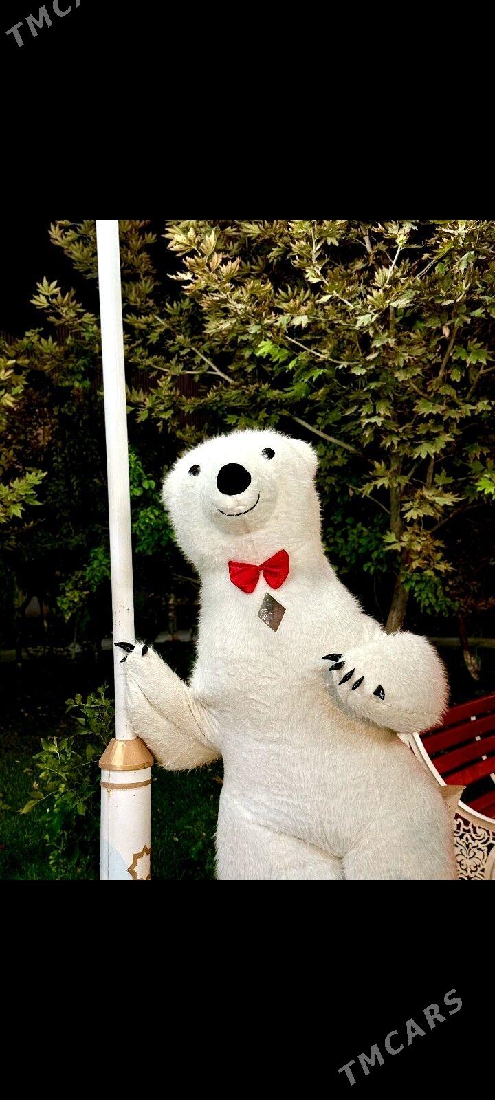 Ak ayy we Panda we Gorilla Tom Show Gije Gundiz tans oynayan miskalar animator Animator аниматор клоун мишка Miska miska supriz show tans edyan Miskalar klounlar Mishka ak ayy Gorilla gorilla - Aşgabat - img 1