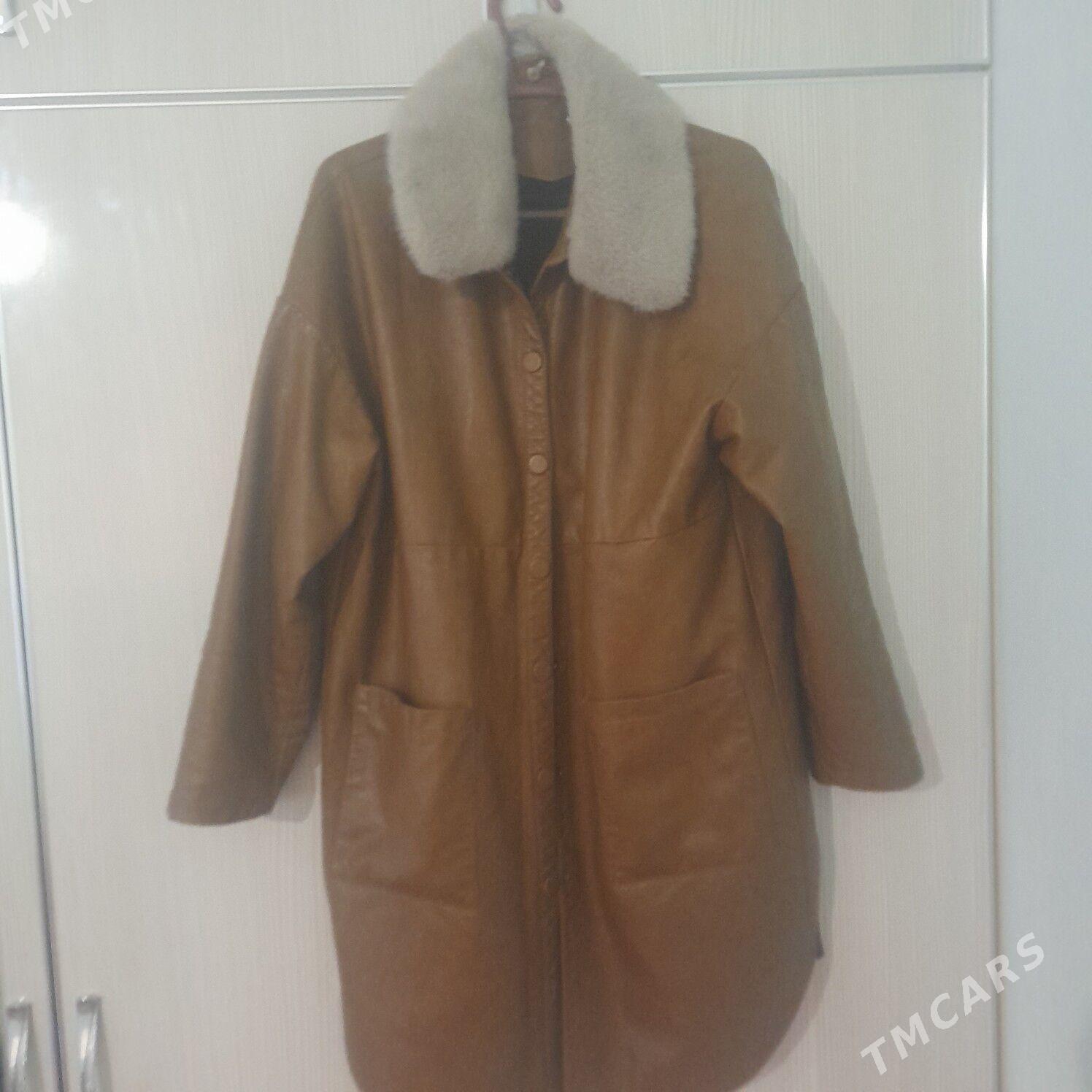 koza - Aşgabat - img 1