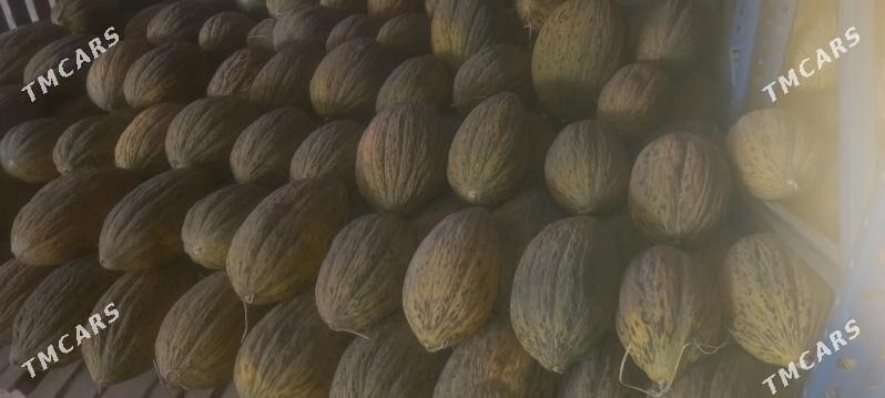 Gawun - Aşgabat - img 1