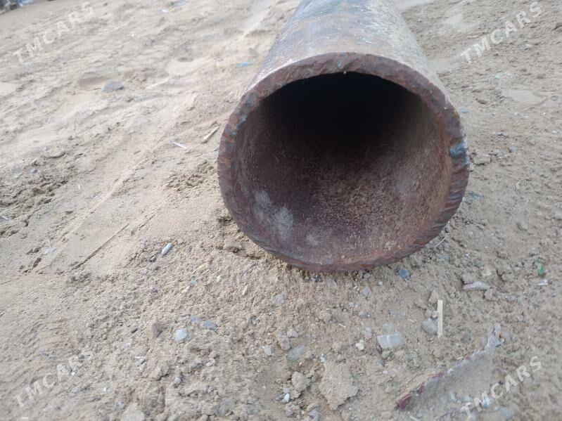 159 lyk turba - Bäherden - img 1