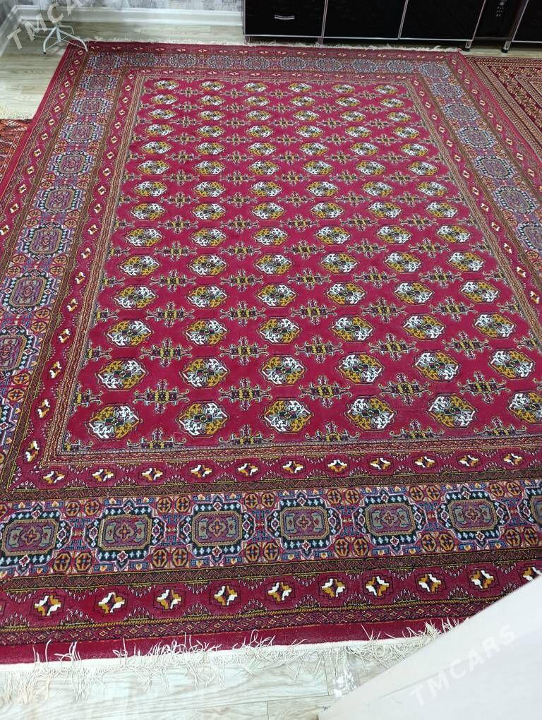 Haly - Гызыларбат - img 1