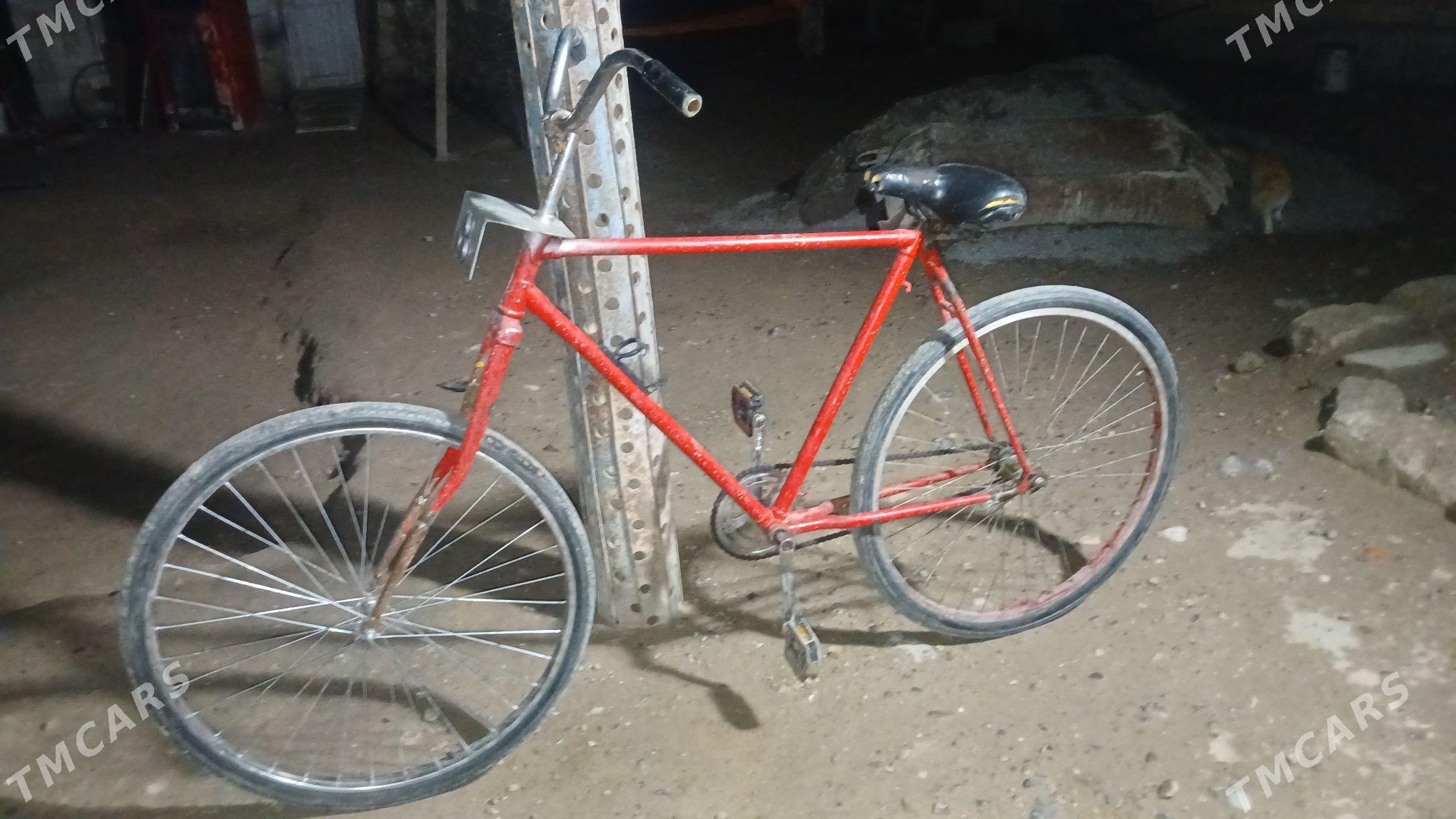 Ural tygyr СССР - Aşgabat - img 1