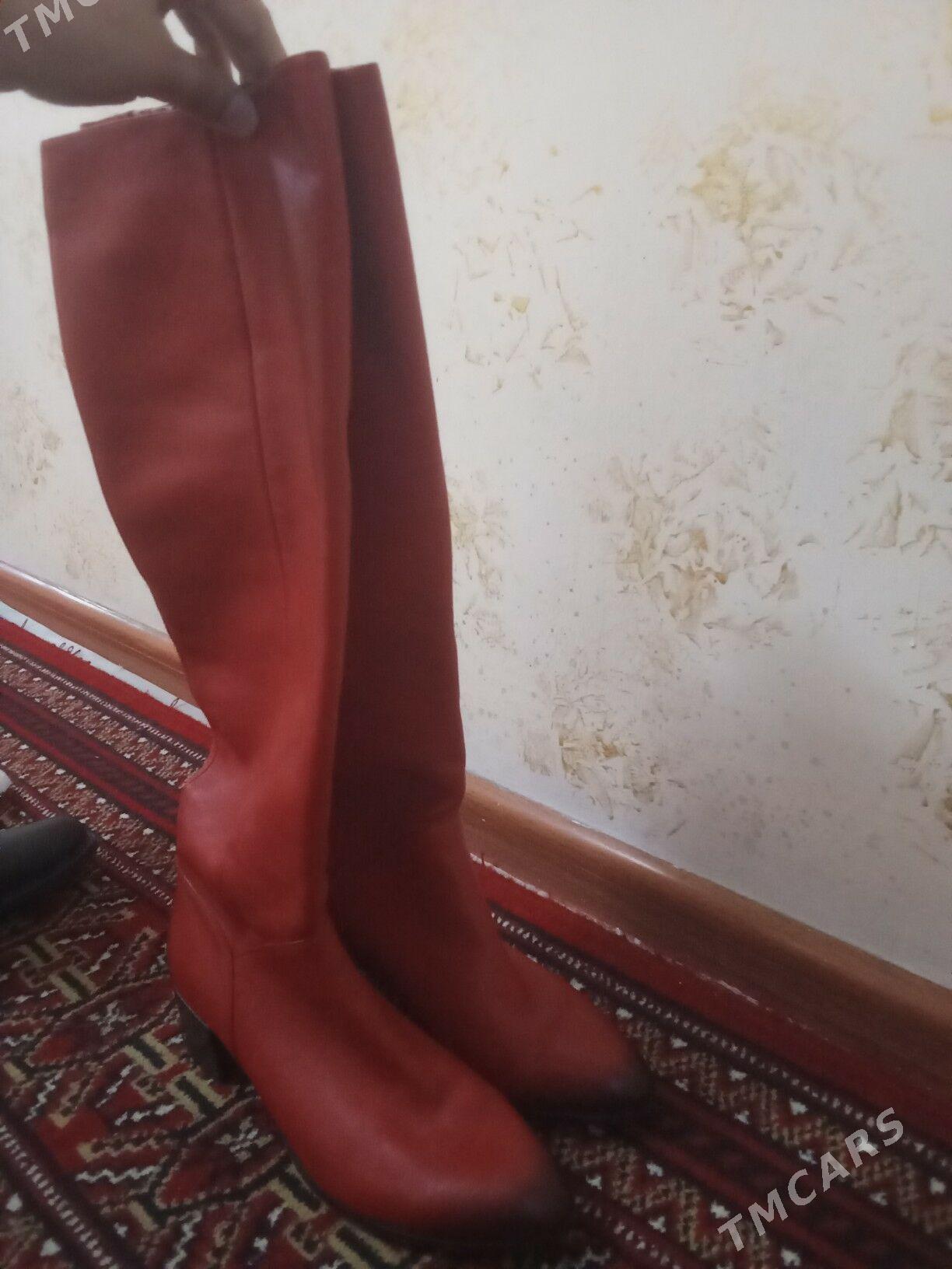 Kurtga adik - Дашогуз - img 1