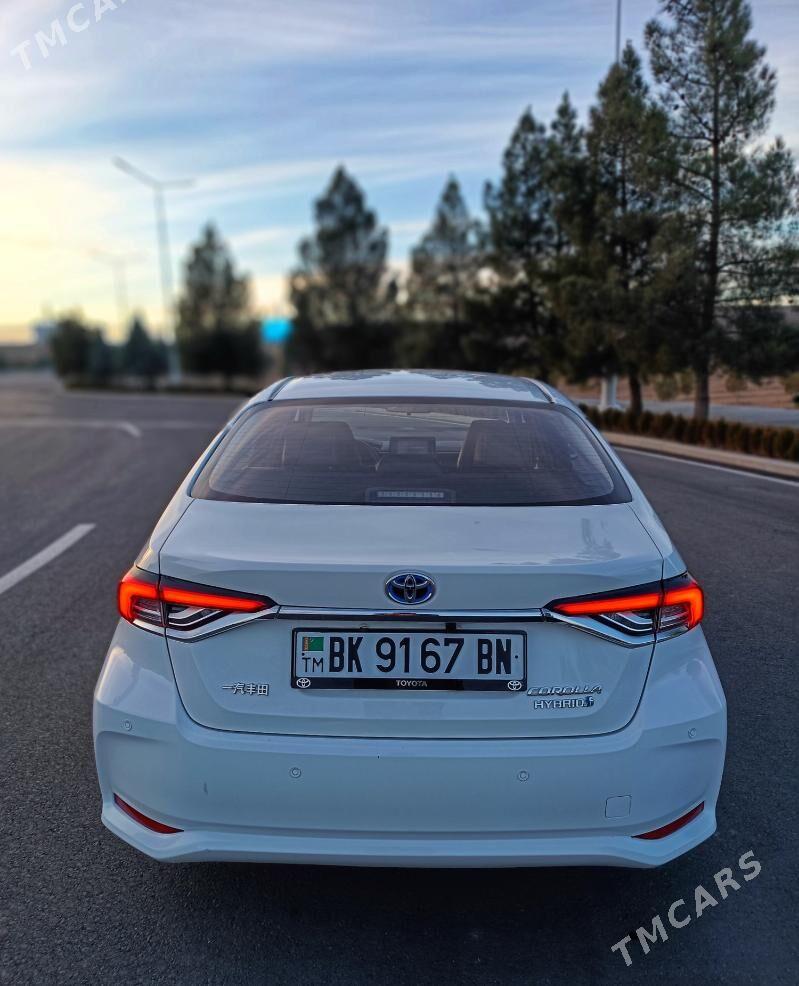 Toyota Corolla 2021 - 300 000 TMT - Туркменбаши - img 1