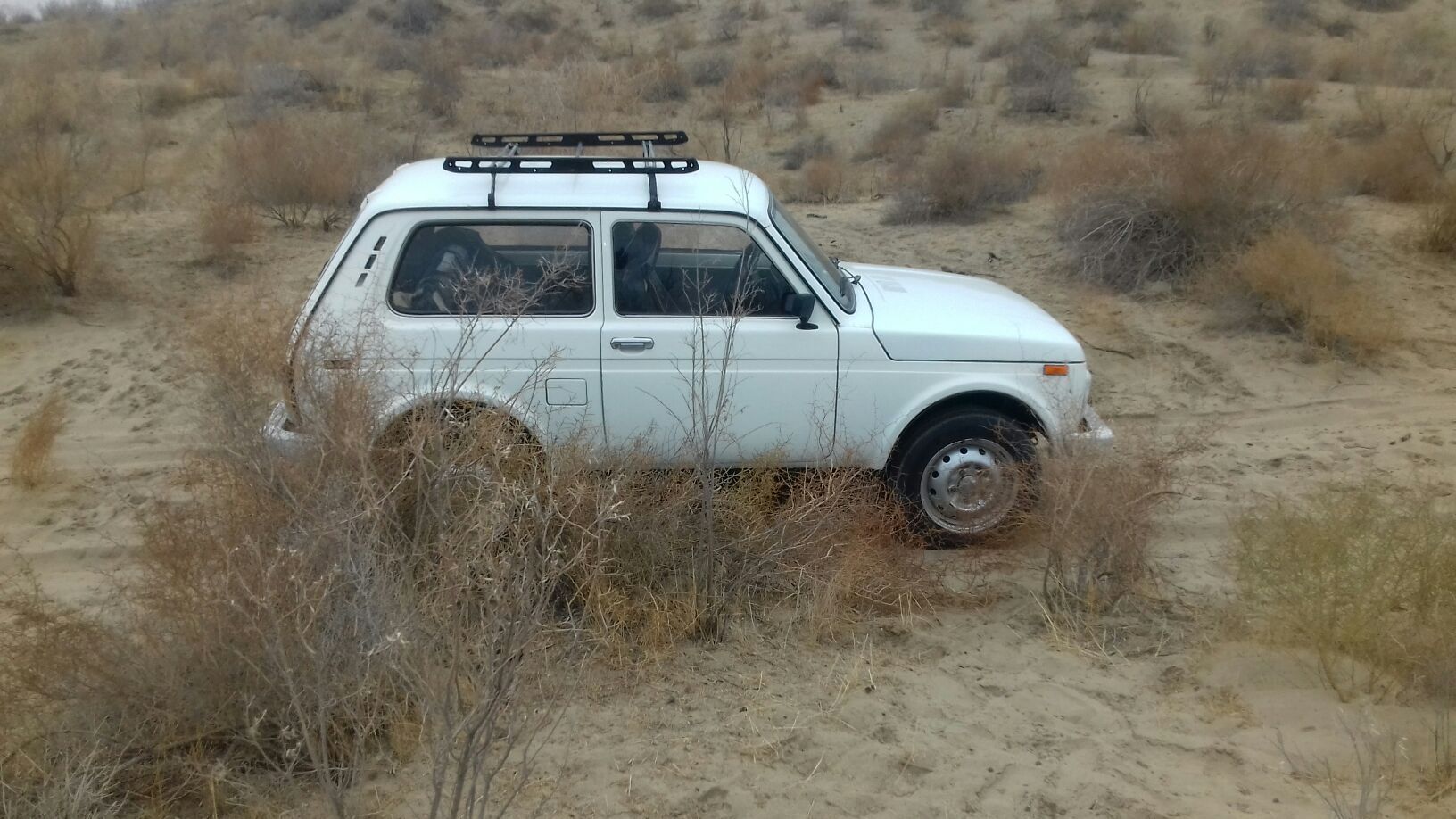 Lada Niva 1999 - 46 000 TMT - Бахарден - img 1