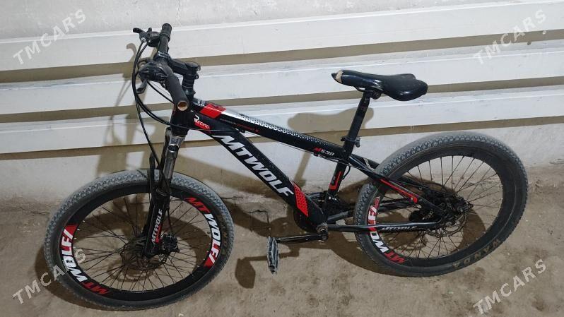 тигир - Gurbansoltan Eje - img 1