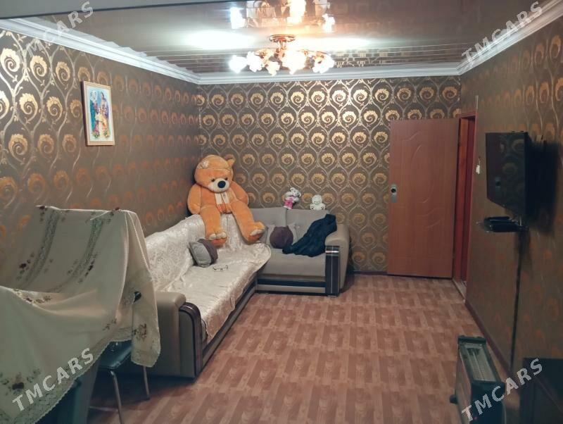 Satlyk jay - Mary - img 1