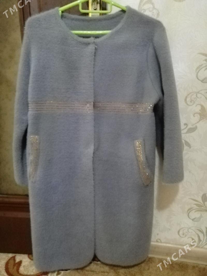 Cal rendCal renkde kofda - Balkanabat - img 1