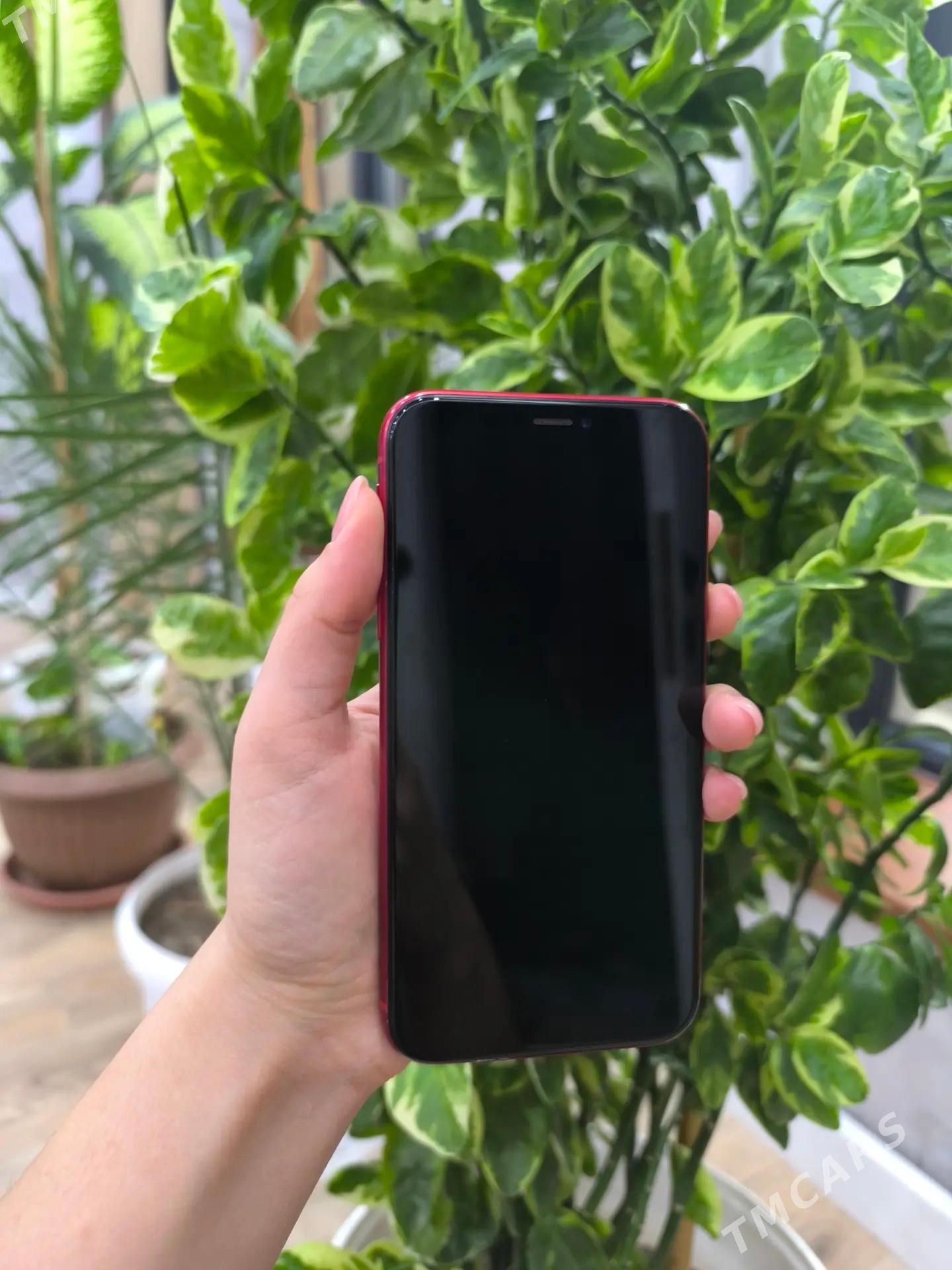 IPhone XR 128GB 79yomks - Daşoguz - img 1