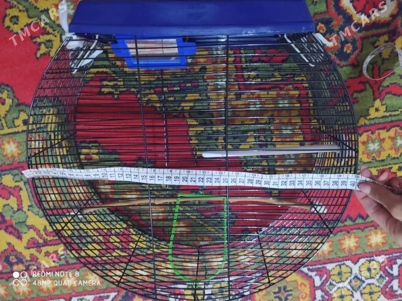 kletka - Ашхабад - img 1