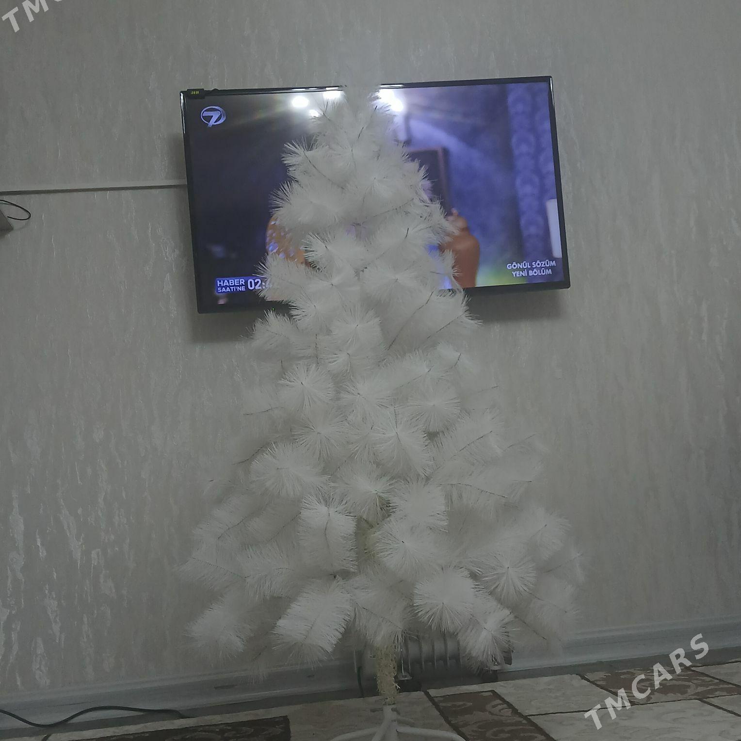 Ýolka - Aşgabat - img 1