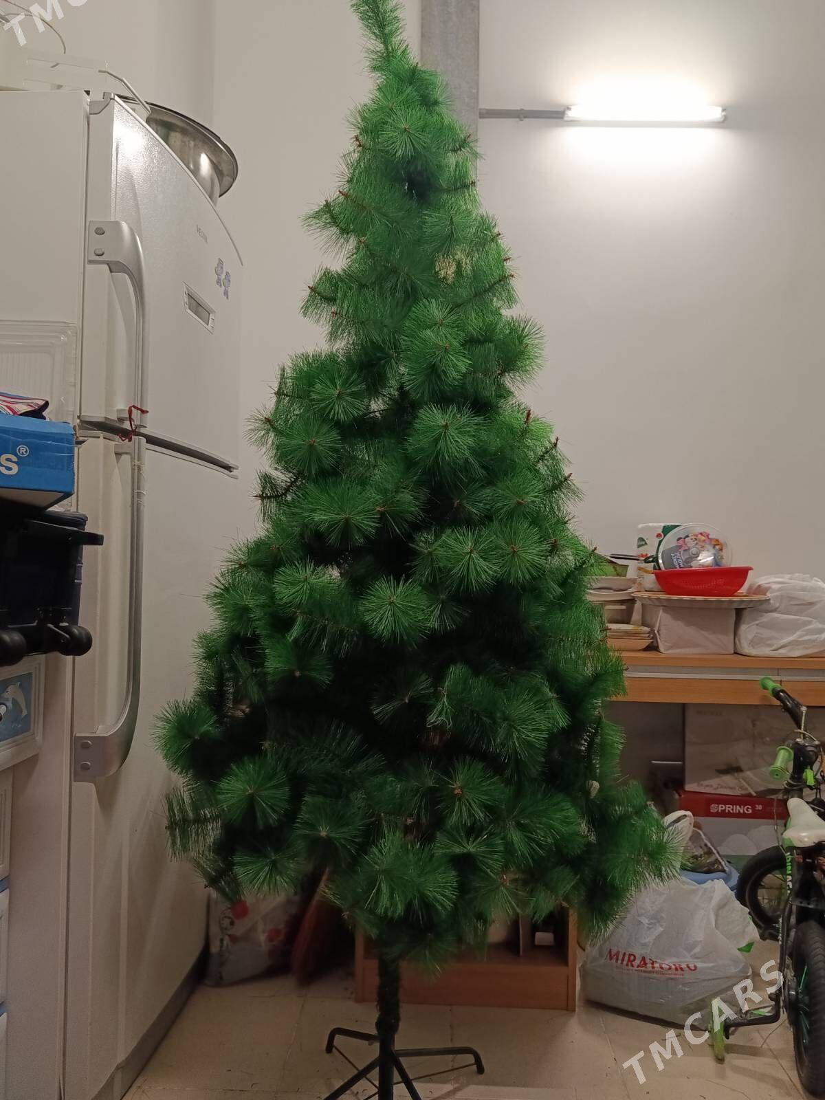 Ýolka - Ашхабад - img 1