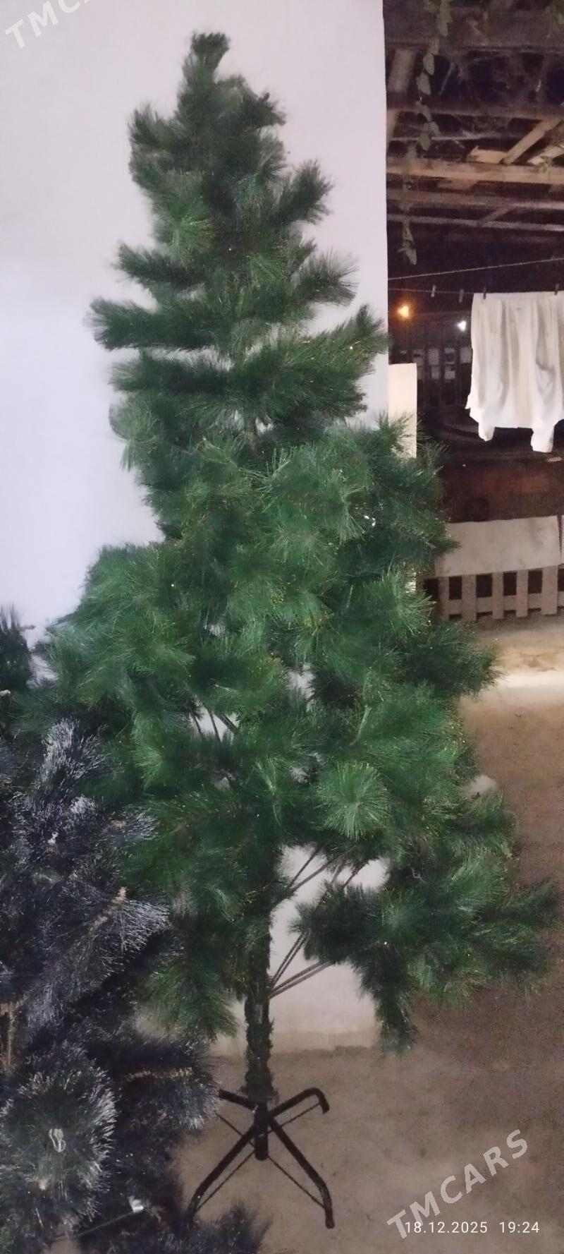 Елка arça - Туркменбаши - img 1