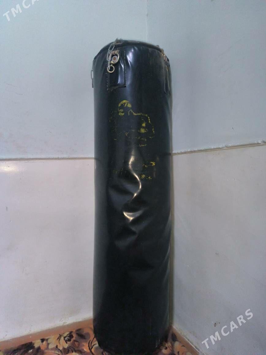 UFC Gruşa - Mary - img 1