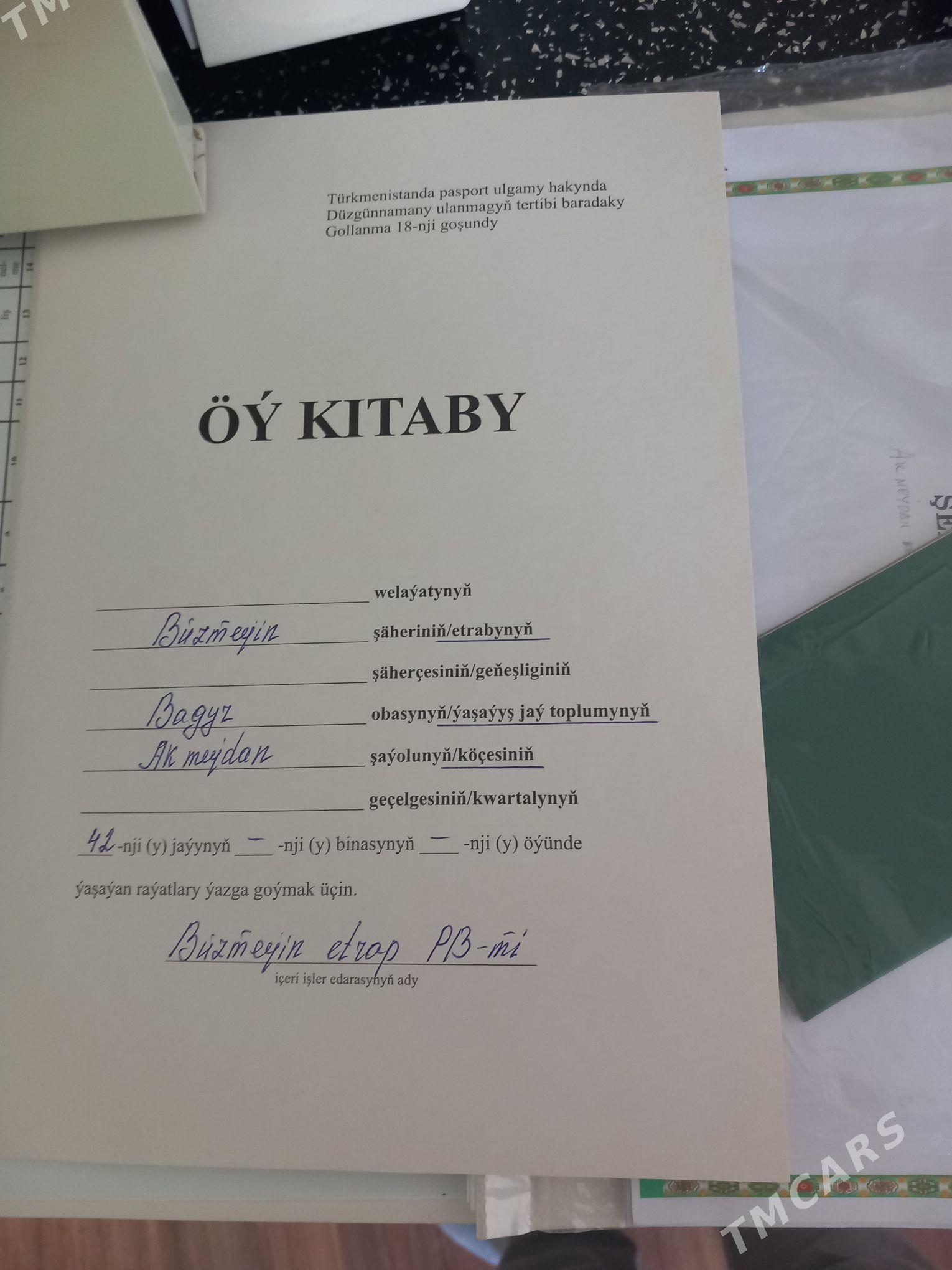 satlyk jaÿ bagyrda - Bagyr - img 1