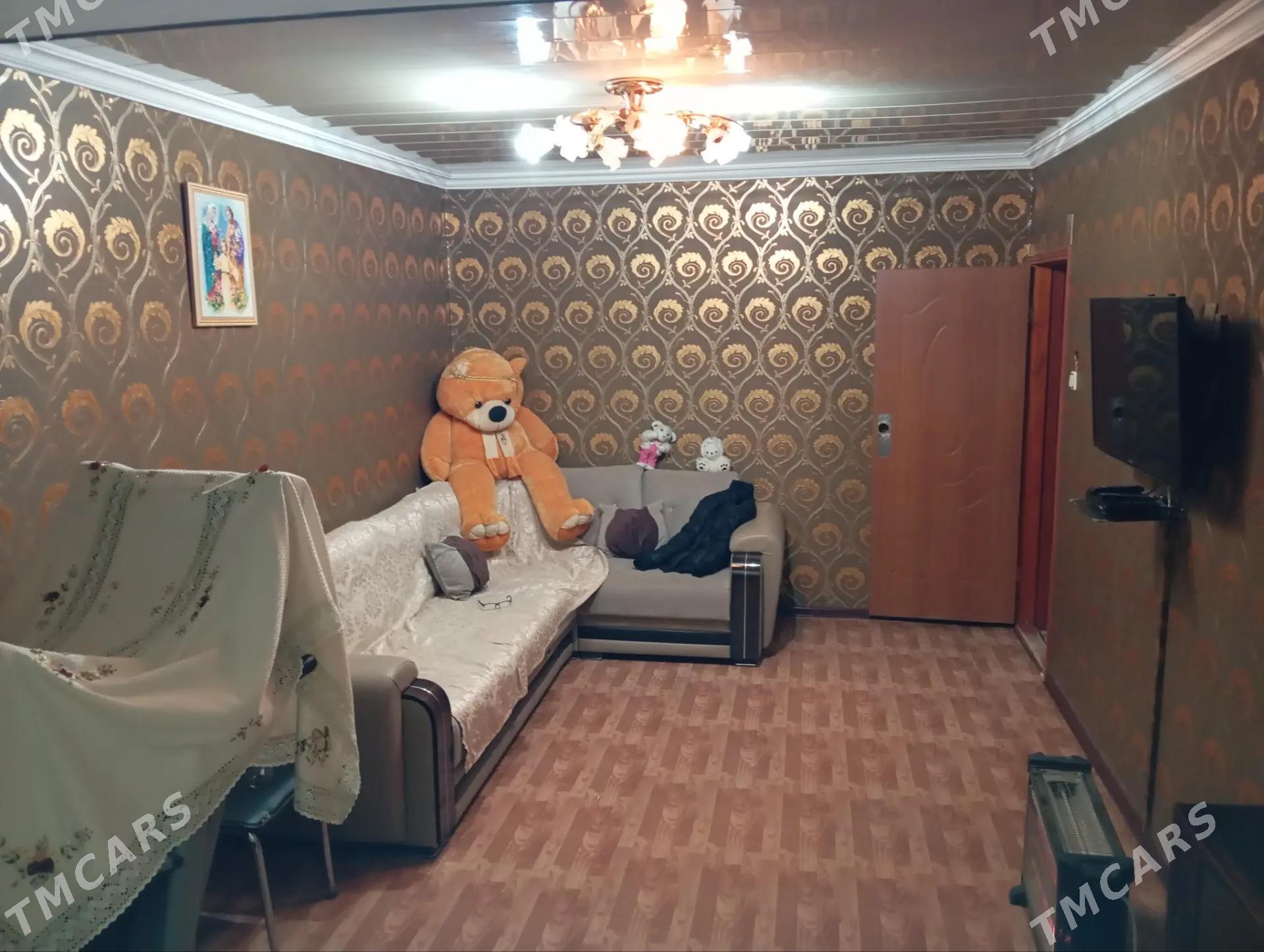 Satlyk jay - Mary - img 1