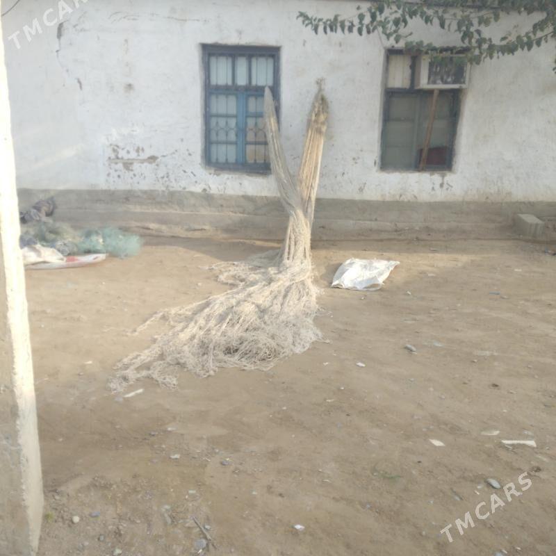 Dync alys we syyhat - Чоганлы - img 1