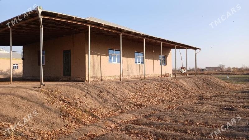 Jay - Дашогуз - img 1