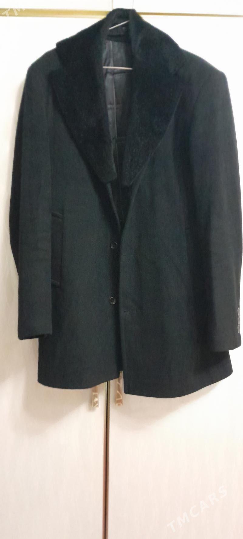 Talyp Palto - Кëши - img 1