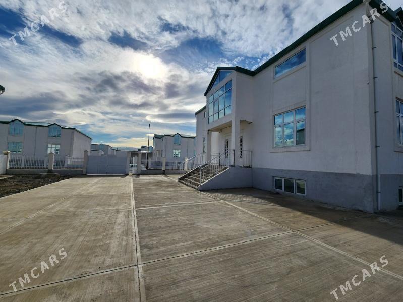 Gami katedzh uzumchilik - Aşgabat - img 1