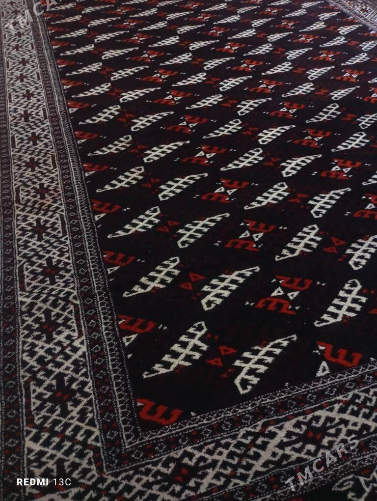 el haly - Aşgabat - img 1