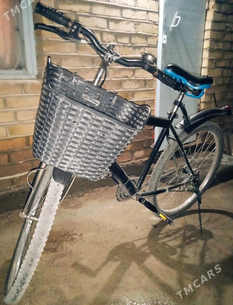 Welisoped - Теджен - img 1