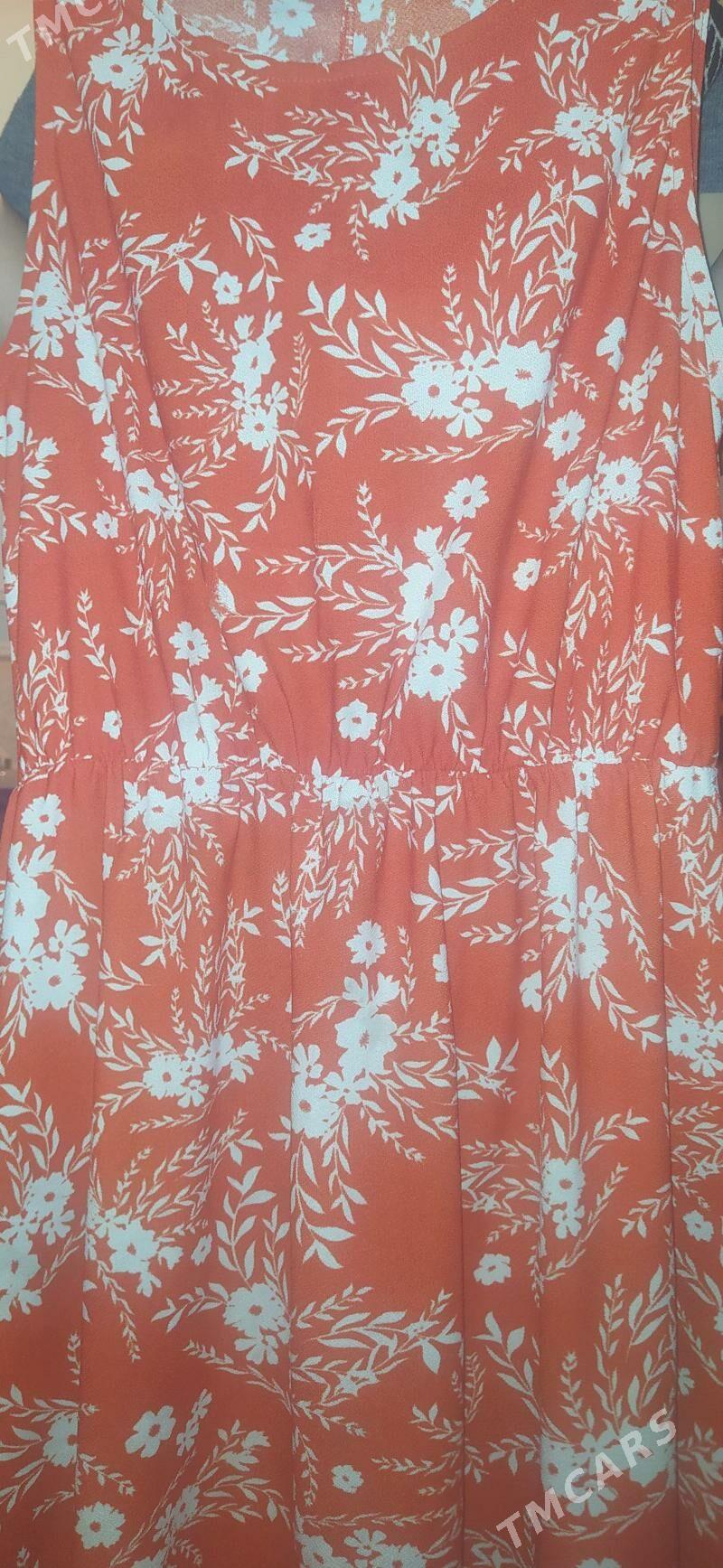 koynekler - Daşoguz - img 1