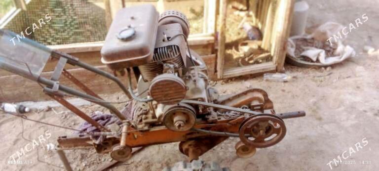 yer suryan - Mary - img 1