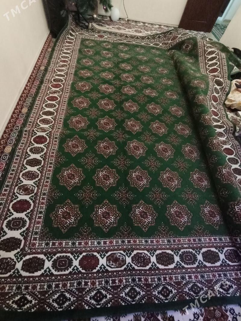 Haly - Карабогаз - img 1