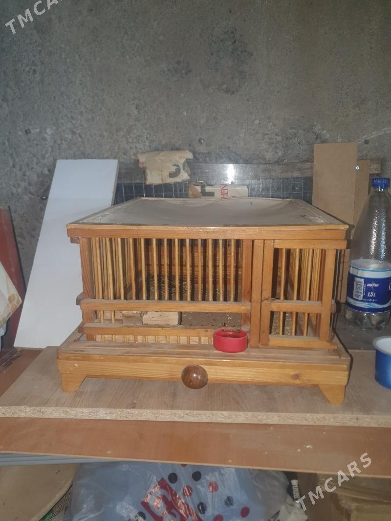 gus ketek - Dosaaf - img 1