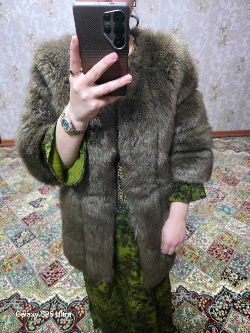 Şuba - Balkanabat - img 1