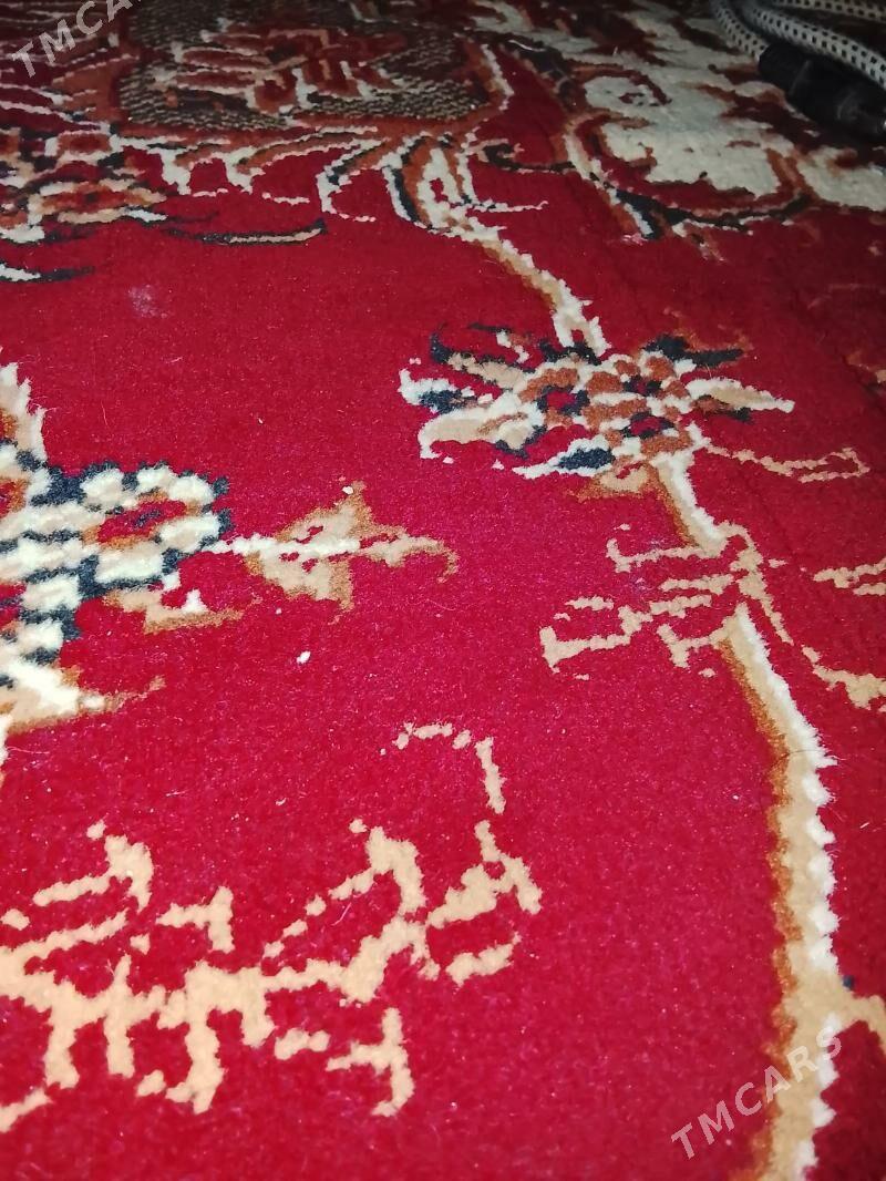 ussa - Murgap - img 1