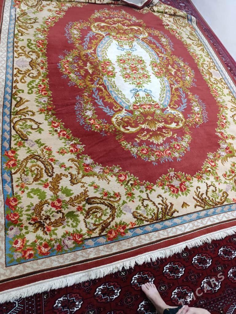 Haly - Parahat 7 - img 1